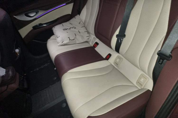 Used BYD Seal 2023 DM-i 1.5L 121km Prestige Model Left Rear Seat