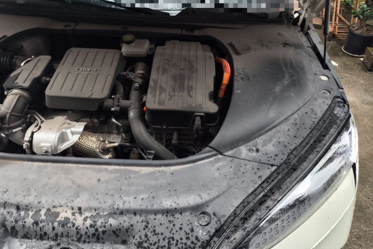 Used BYD Seal 2023 DM-i 1.5T 121km Flagship Model Engine Bay Left