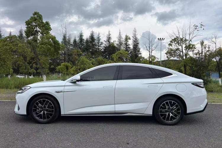 Used BYD Seal 2023 DM-i 1.5T 121km Prestige Model Exterior 6