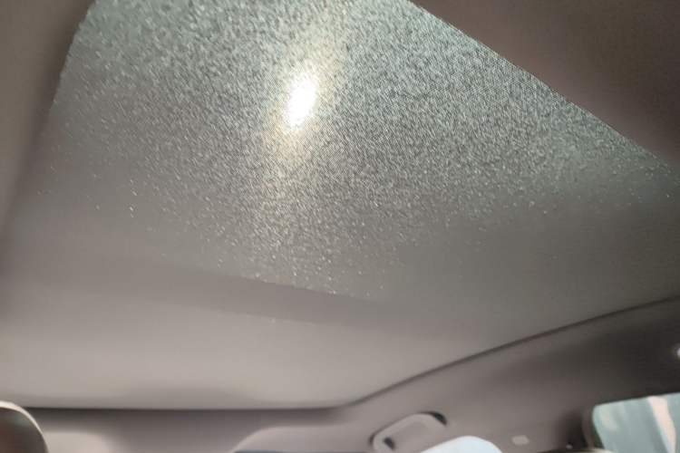 Used BYD Seal 2023 DM-i 1.5T 121km Prestige Model Headliner
