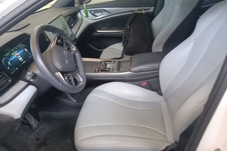 Used BYD Seal 2023 DM-i 1.5L 121km Luxury Model Left Front Seat