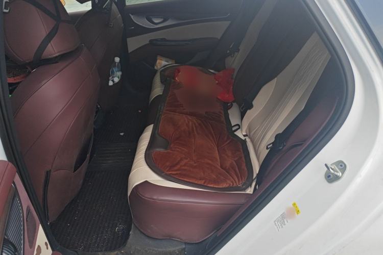 Used BYD Seal 2023 DM-i 1.5T 121km Flagship Model Left Rear Seat