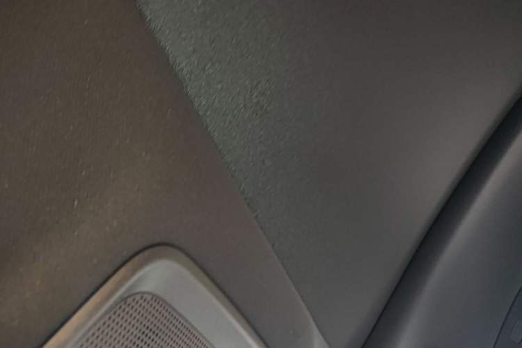 Used BYD Seal 2024 HONOR Edition DM-i 1.5L 121km Elite Model Headliner