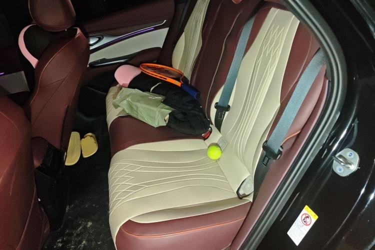 Used BYD Seal 2024 HONOR Edition DM-i 1.5L 121km Prestige Model Left Rear Seat