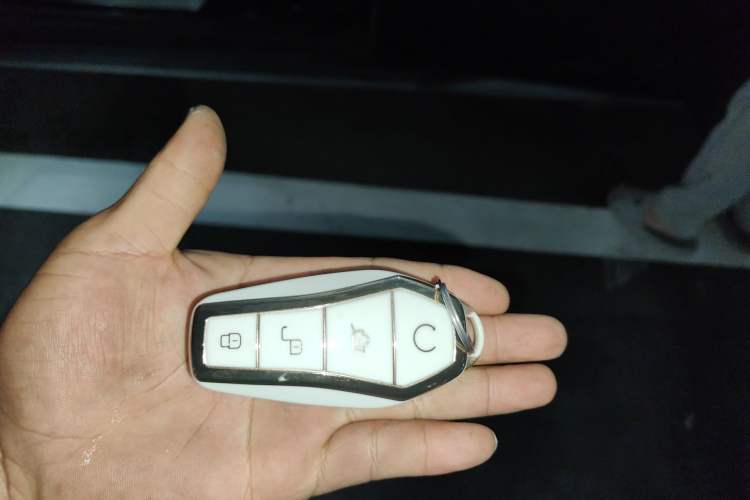 Used BYD Seal 2024 HONOR Edition DM-i 1.5L 121km Prestige Model Vehicle Key