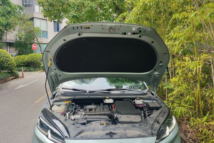 Used BYD Seal 2024 HONOR Edition DM-i 1.5L 121km Prestige Model Engine Bay