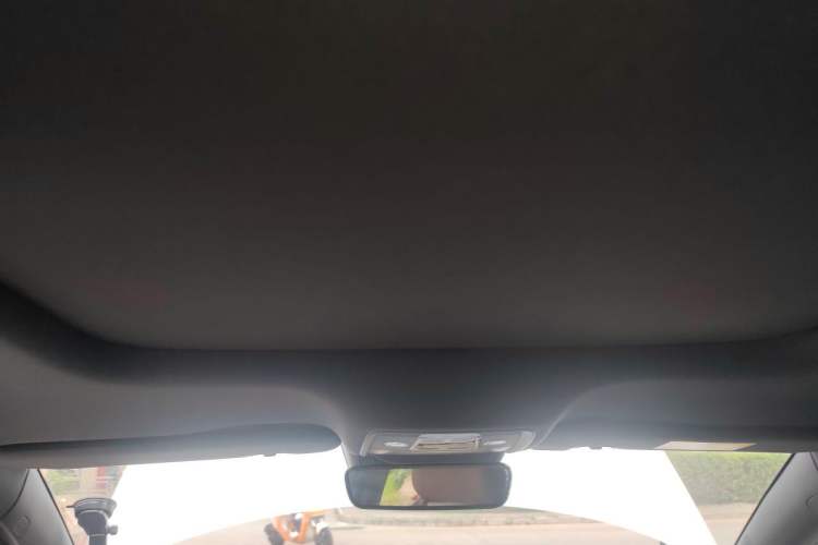 Used BYD Seal  Headliner
