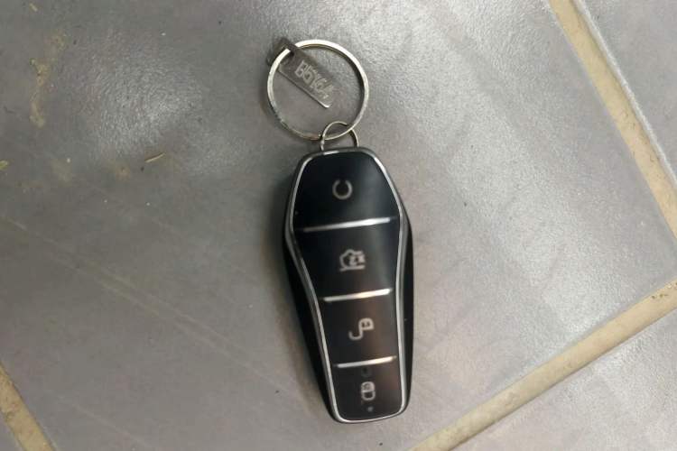 Used BYD Seal 2024 HONOR Edition DM-i 1.5L 121km Luxury Model Vehicle Key