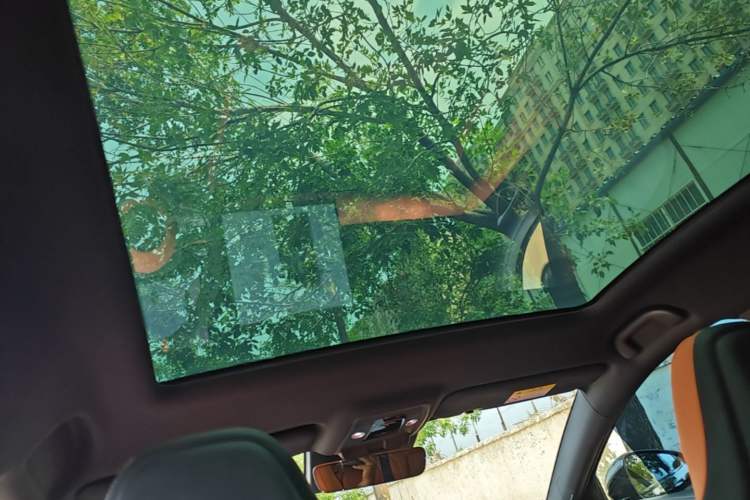 Used BYD Seal 2025 650 Long-Range Version Headliner
