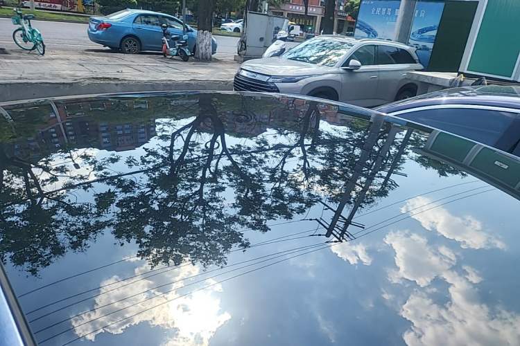 Used BYD Seal 2025 650 Long-Range Version Roof