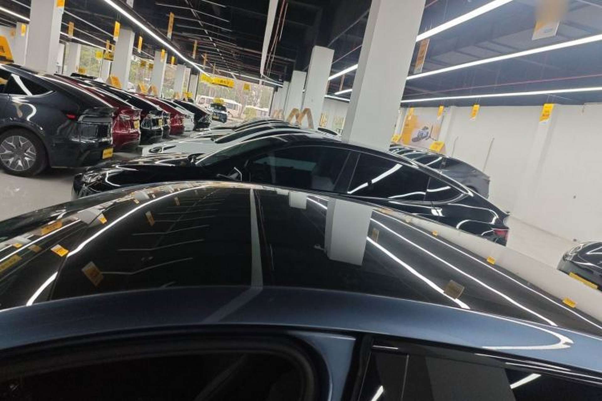 Used BYD Seal 2025 650 Long-Range Version Roof