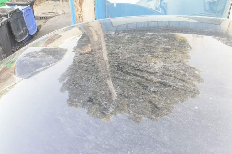 Used BYD Seal 2025 650 Intelligent Driving Version Roof
