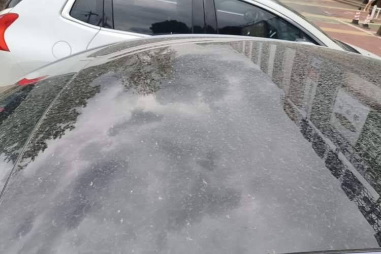 Used BYD Seal 2025 650 Zhihang Edition Roof