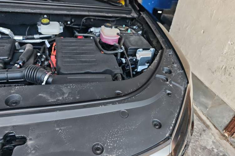 Used BYD Sealion 05 DM-i 2025 DM-i 75KM Luxury Model Engine Bay Left