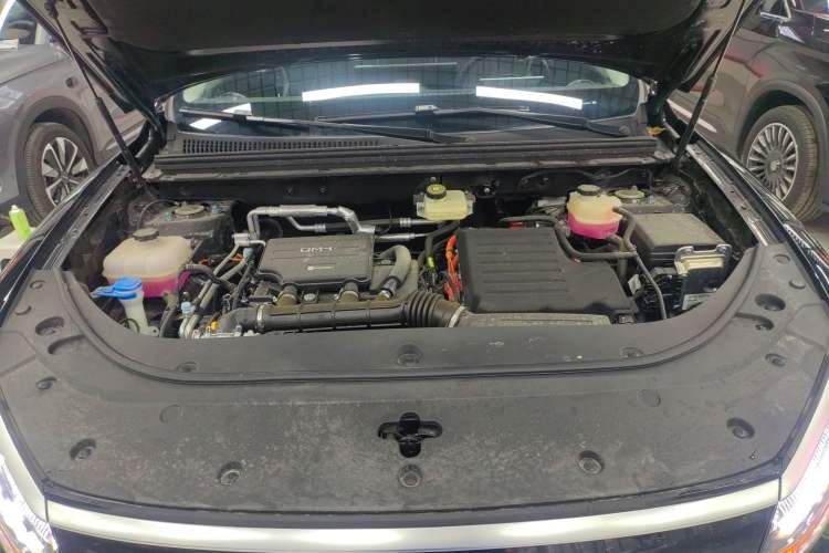 Used BYD Sealion 05 DM-i 2025 DM-i Smart Drive 115KM Flagship Model Engine Bay