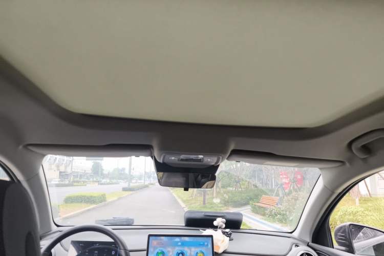 Used BYD Sealion 05 DM-i 2025 DM-i Intelligent Driving 75KM Prestige Model Headliner