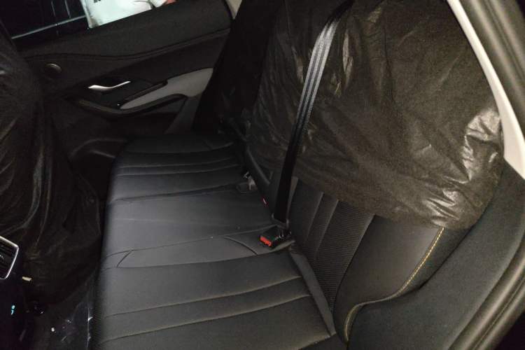 Used BYD Sealion 05 DM-i 2025 DM-i Intelligent Driving 75KM Prestige Model Left Rear Seat