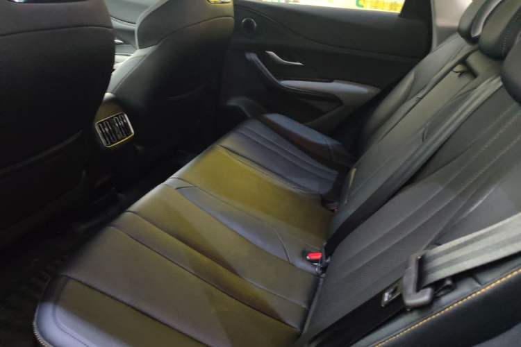 Used BYD Sealion 05 DM-i 2025 DM-i 75KM Luxury Model Left Rear Seat