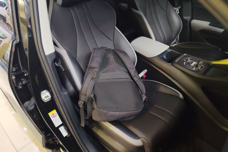 Used BYD Sealion 05 DM-i 2025 DM-i 75KM Luxury Model Right Front Seat