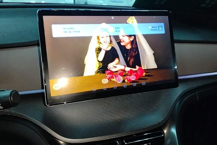 Used BYD Sealion 05 DM-i 2025 DM-i 115KM Prestige Model Audio And AC Panel