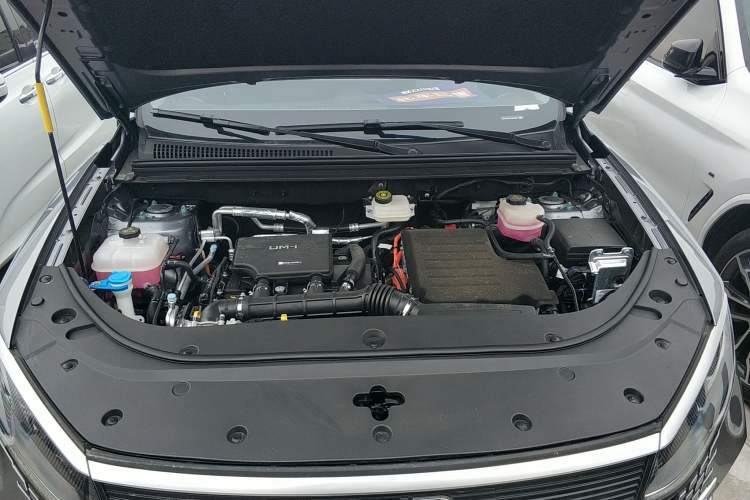 Used BYD Sealion 05 DM-i 2025 DM-i 75KM Luxury Model Engine Bay