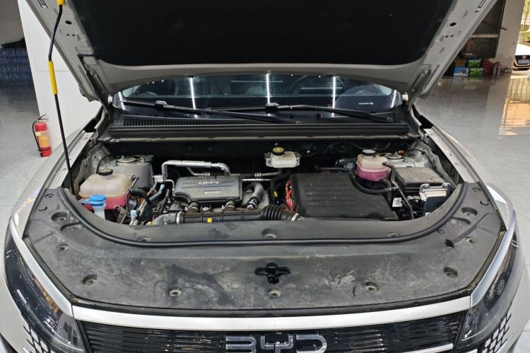 Used BYD Sealion 05 DM-i 2025 DM-i 75KM Luxury Model Engine Bay