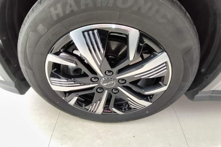 Used BYD Sealion 05 DM-i 2025 DM-i 75KM Luxury Model Exterior 4
