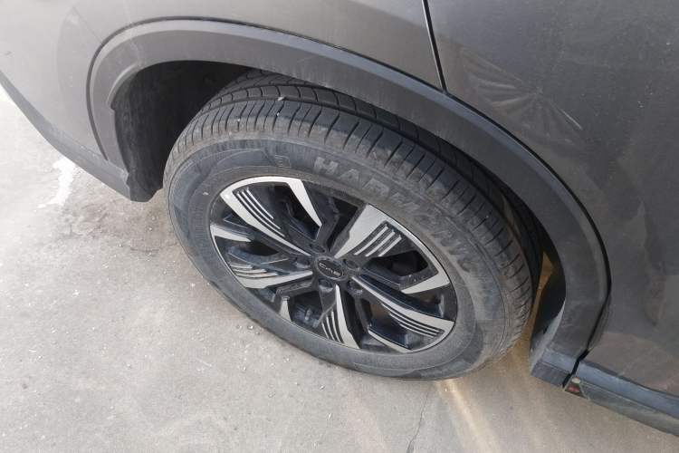 Used BYD Sealion 05 DM-i 2025 DM-i 75KM Luxury Model Exterior 5