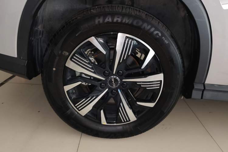 Used BYD Sealion 05 DM-i 2025 DM-i Smart Drive 115KM Prestige Model Exterior 5