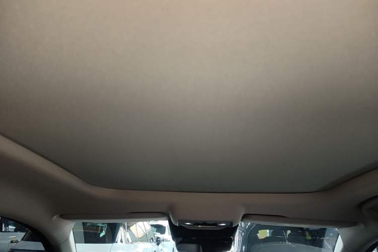 Used BYD Sealion 05 DM-i 2025 DM-i Smart Drive 115KM Prestige Model Headliner