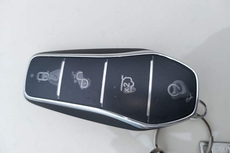 Used BYD Sealion 05 DM-i 2025 DM-i Smart Drive 115KM Flagship Model Interior 1