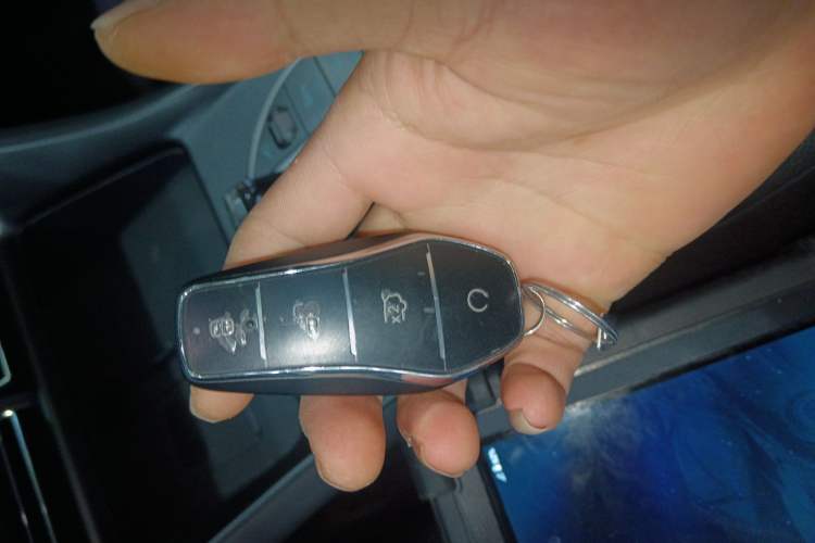 Used BYD Sealion 05 DM-i 2025 DM-i Smart Drive 115KM Flagship Model Interior 1