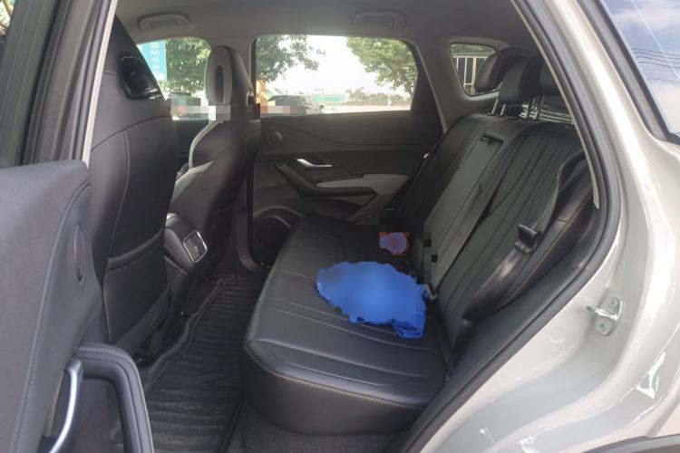 Used BYD Sealion 05 DM-i 2025 DM-i 75KM Luxury Model Left Rear Seat