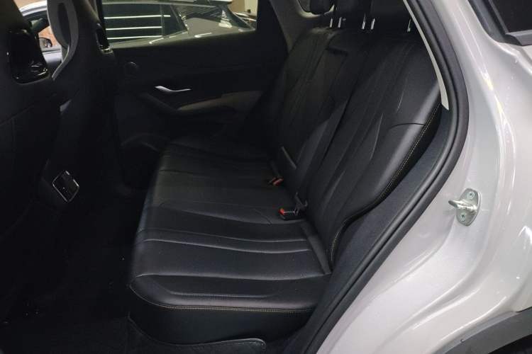 Used BYD Sealion 05 DM-i 2025 DM-i 75KM Luxury Model Left Rear Seat