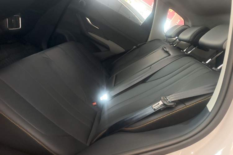 Used BYD Sealion 05 DM-i 2025 DM-i Smart Drive 115KM Flagship Model Left Rear Seat