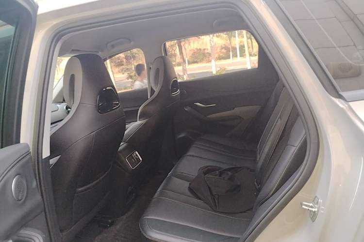 Used BYD Sealion 05 DM-i 2025 DM-i Smart Drive 75KM Luxury Model Left Rear Seat