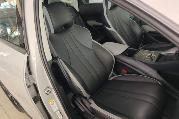 Used BYD Sealion 05 DM-i 2025 DM-i Smart Drive 115KM Prestige Model Right Front Seat