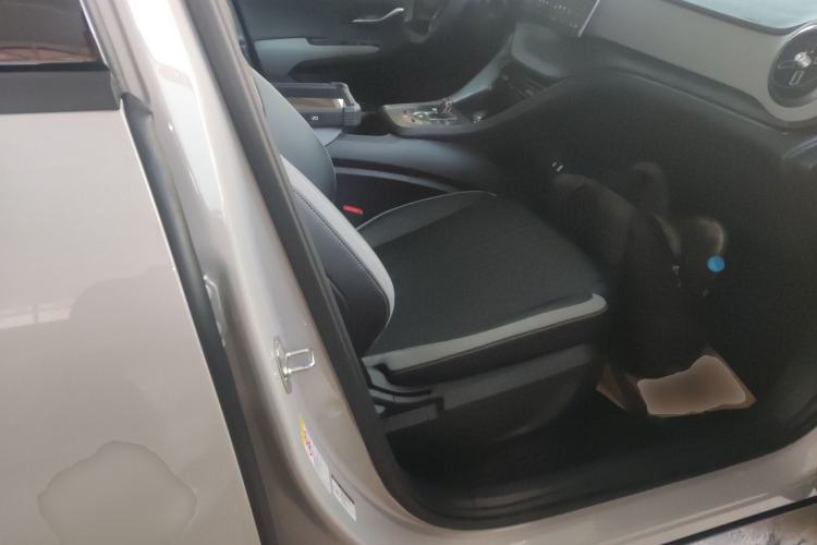 Used BYD Sealion 05 DM-i 2025 DM-i Smart Drive 75KM Luxury Model Right Front Seat