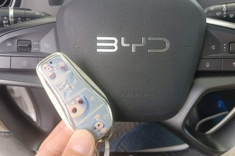 Used BYD Sealion 05 DM-i 2025 DM-i 75KM Luxury Model Vehicle Key