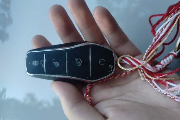 Used BYD Sealion 05 DM-i 2025 DM-i 115KM Prestige Model Vehicle Key