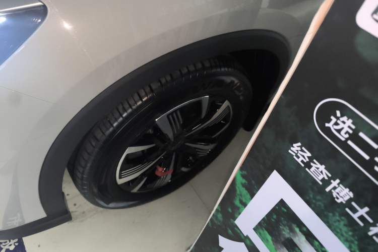 Used BYD Sealion 05 DM-i 2025 DM-i 75KM Luxury Model Exterior 4