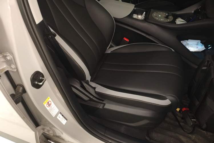 Used BYD Sealion 05 DM-i 2025 DM-i Smart Drive 75KM Luxury Model Right Front Seat