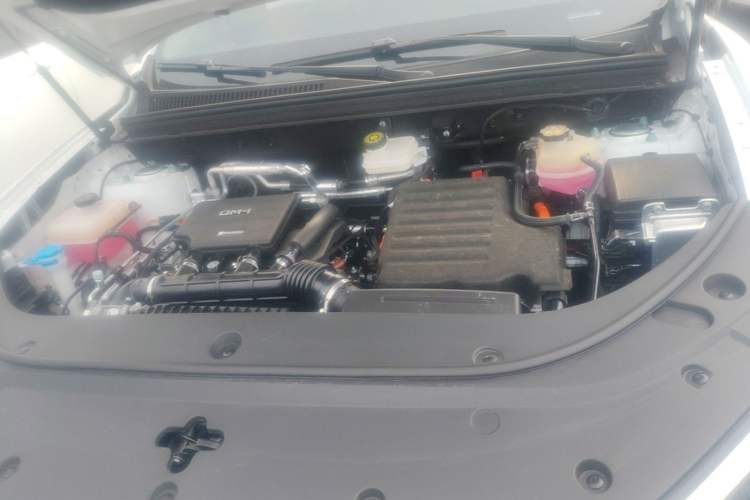 Used BYD Sealion 05 DM-i 2025 DM-i 115KM Flagship Model Engine Bay