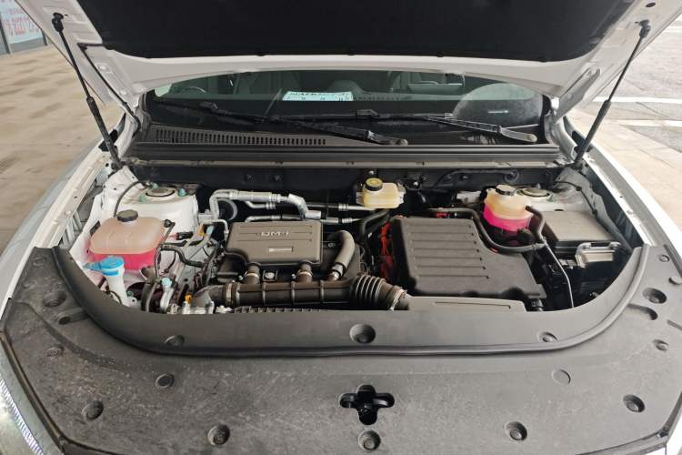 Used BYD Sealion 05 DM-i 2025 DM-i Smart Drive 115KM Flagship Model Engine Bay