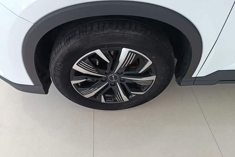 Used BYD Sealion 05 DM-i 2025 DM-i 75KM Prestige Model Exterior 4