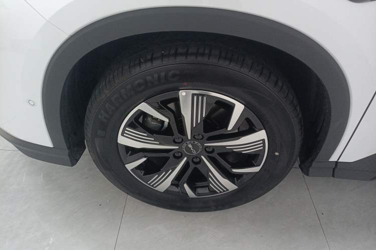 Used BYD Sealion 05 DM-i 2025 DM-i Smart Drive 75KM Luxury Model Exterior 7