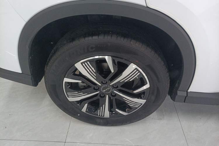 Used BYD Sealion 05 DM-i 2025 DM-i Smart Drive 75KM Luxury Model Exterior 8
