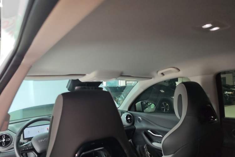Used BYD Sealion 05 DM-i 2025 DM-i Smart Drive 75KM Luxury Model Headliner