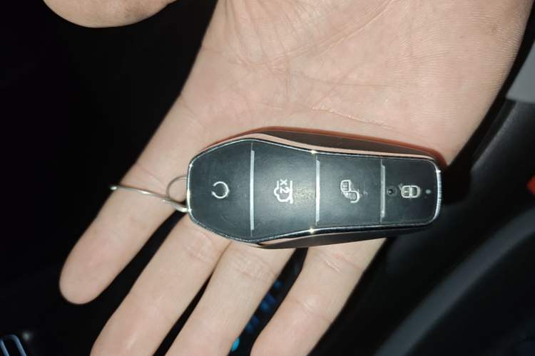 Used BYD Sealion 05 DM-i 2025 DM-i Smart Drive 115KM Flagship Model Interior 1