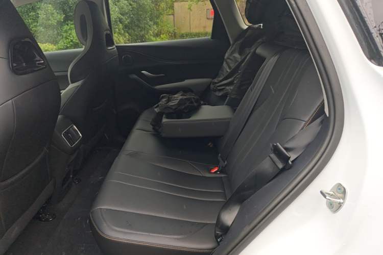 Used BYD Sealion 05 DM-i 2025 DM-i 75KM Prestige Model Left Rear Seat